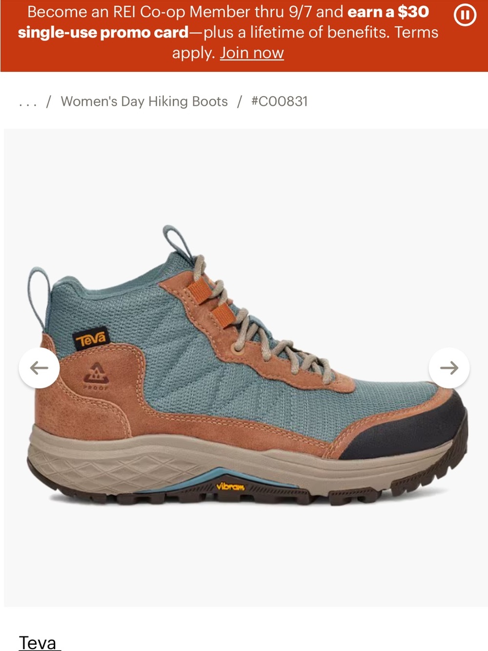 Teva Women's Outdoor Boot in Teal and Brown